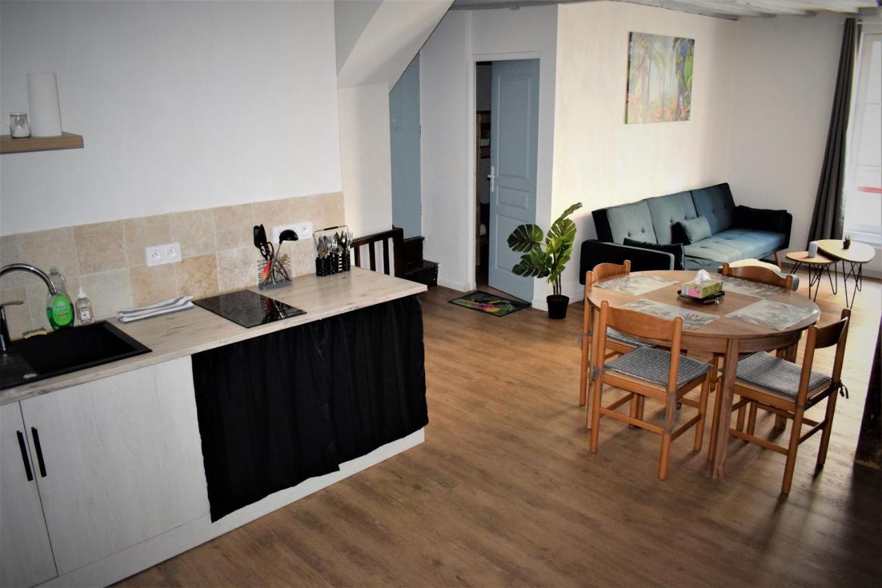 Gite Le Nid Des Zoo Zio, 5Mn Beauval, Appartement Terrasse Centre-Ville Saint-Aignan  Eksteriør billede