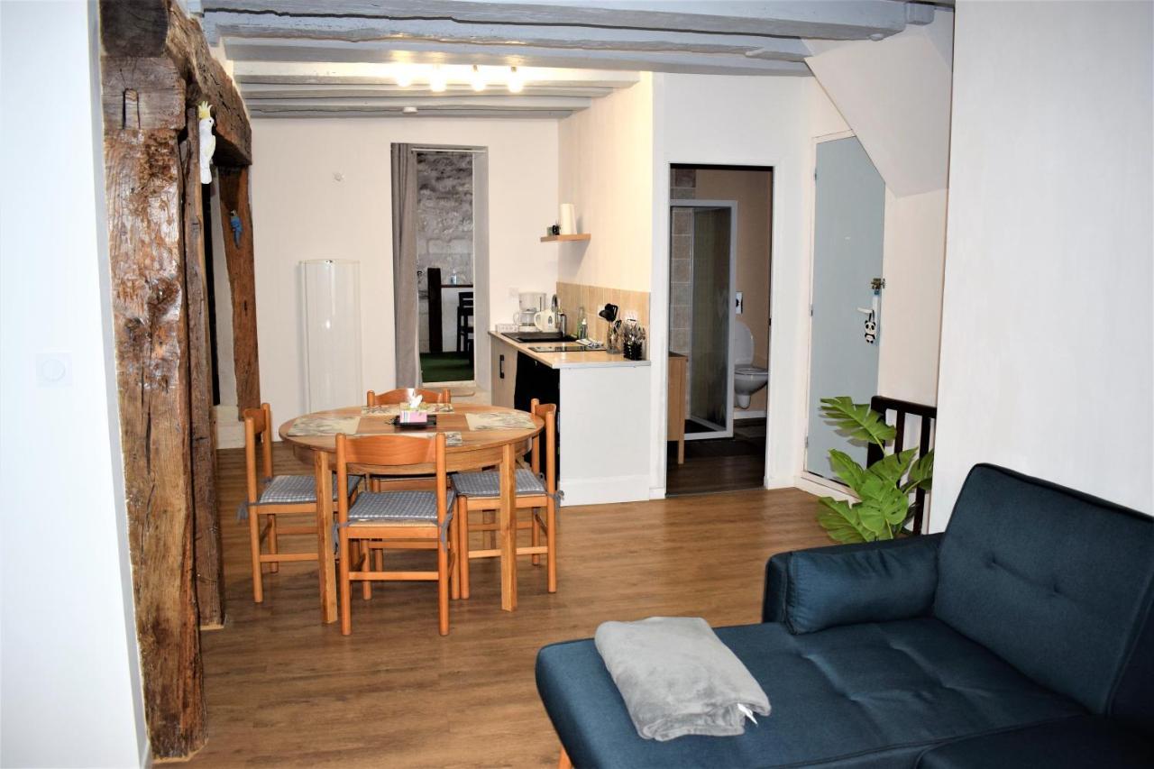 Gite Le Nid Des Zoo Zio, 5Mn Beauval, Appartement Terrasse Centre-Ville Saint-Aignan  Eksteriør billede