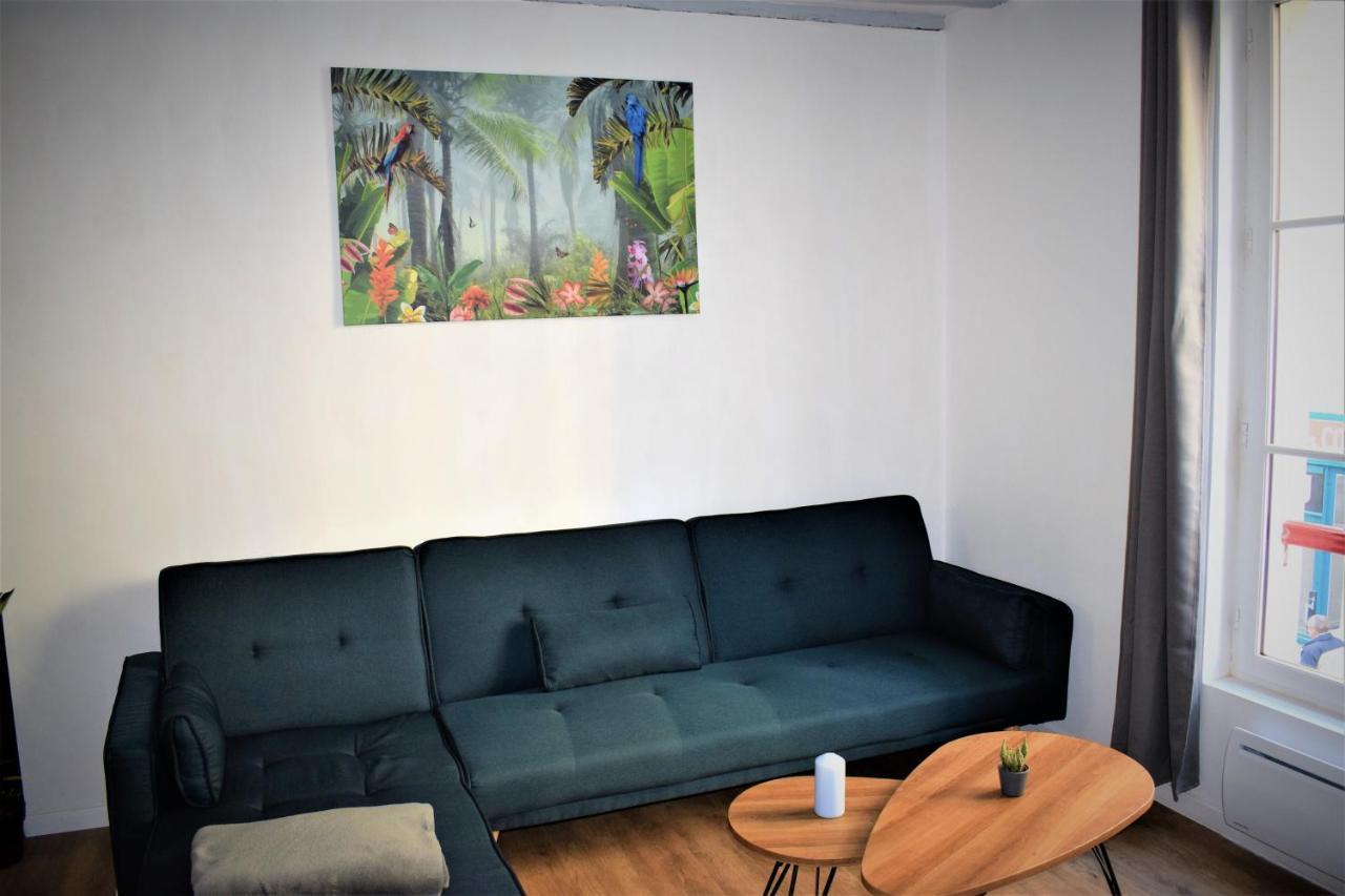 Gite Le Nid Des Zoo Zio, 5Mn Beauval, Appartement Terrasse Centre-Ville Saint-Aignan  Eksteriør billede