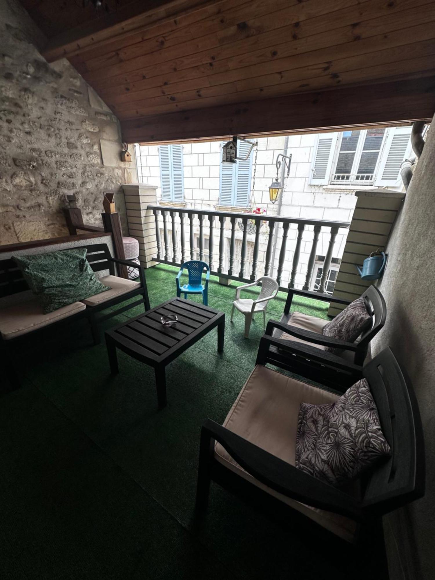 Gite Le Nid Des Zoo Zio, 5Mn Beauval, Appartement Terrasse Centre-Ville Saint-Aignan  Eksteriør billede